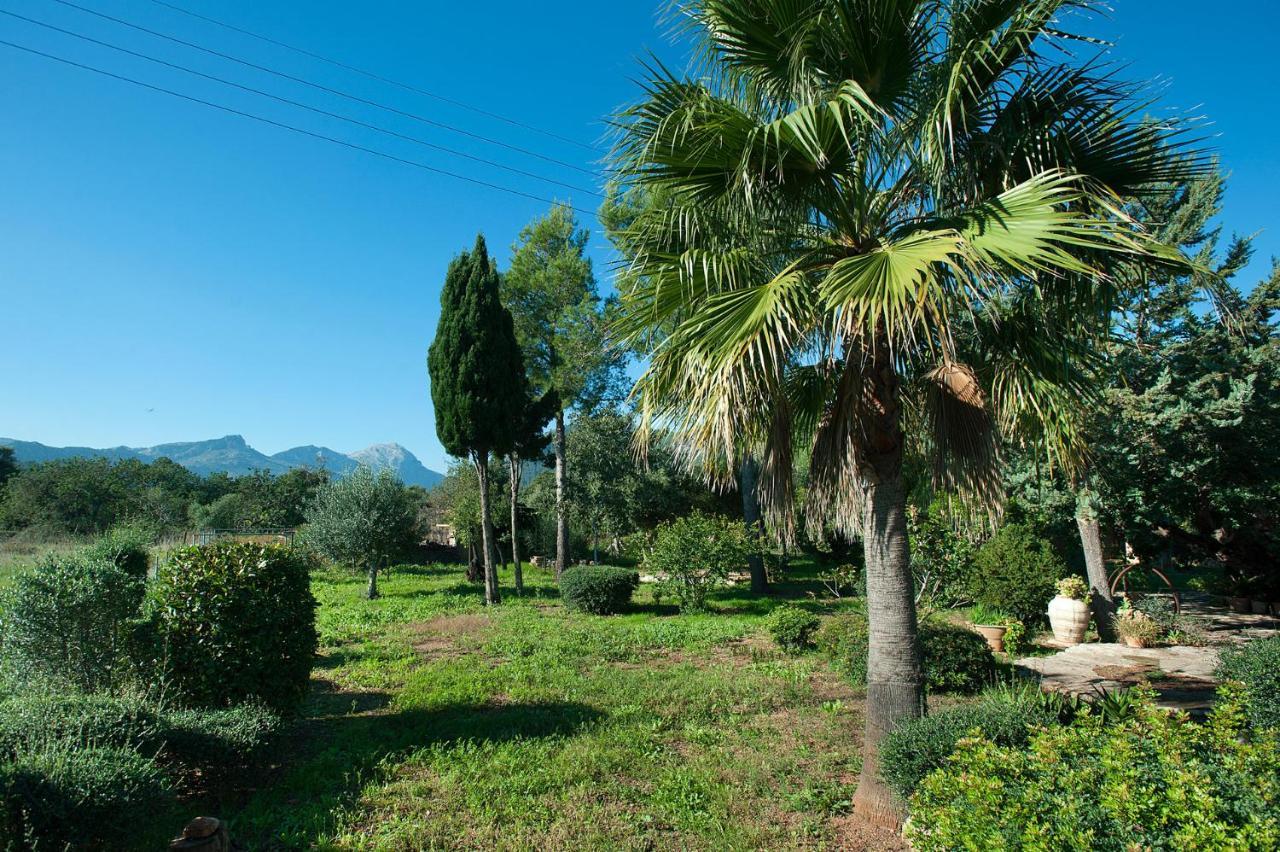 Na Catalina Amazing Villa In Pollensa エクステリア 写真